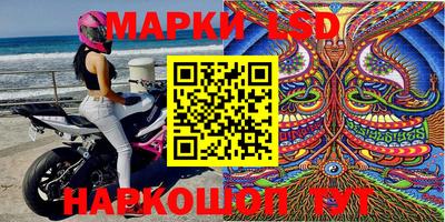 сатива Славгород