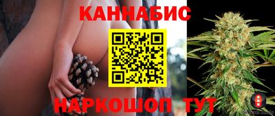 не бодяженный Сланцы