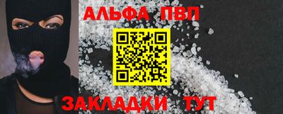 сатива Славгород
