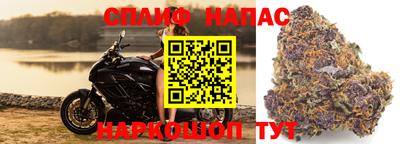не бодяженный Сланцы