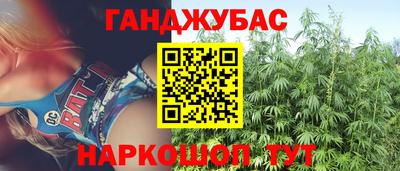 сатива Славгород