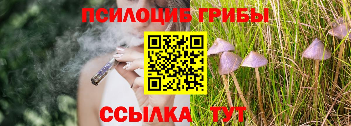 Псилоцибиновые грибы ЛСД  Галлюциногенные грибы прущие грибы  Смоленск  Вход с VPN 